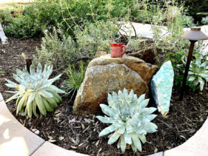 Native Garden Tour 2019